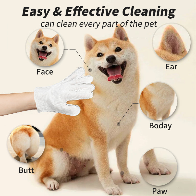 Pet Cleaning Family Set