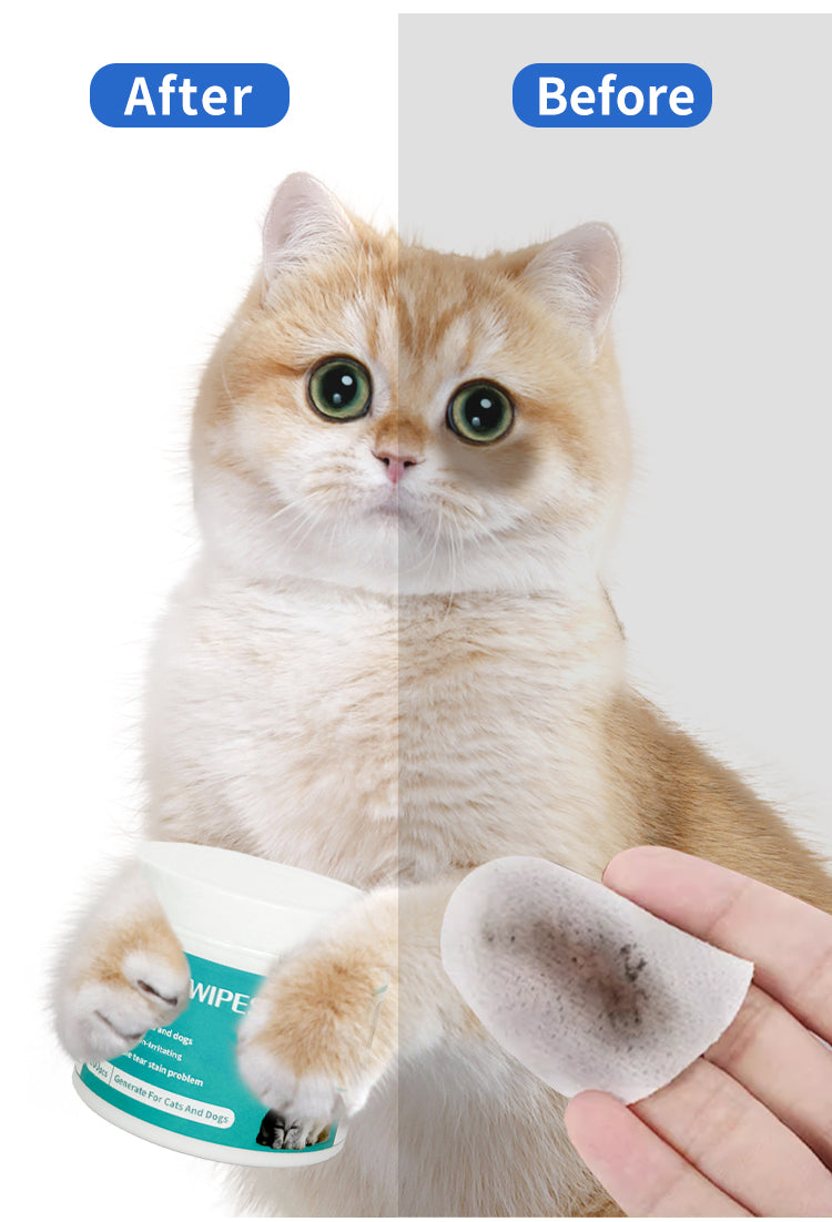 Pet Cleaning Family Set