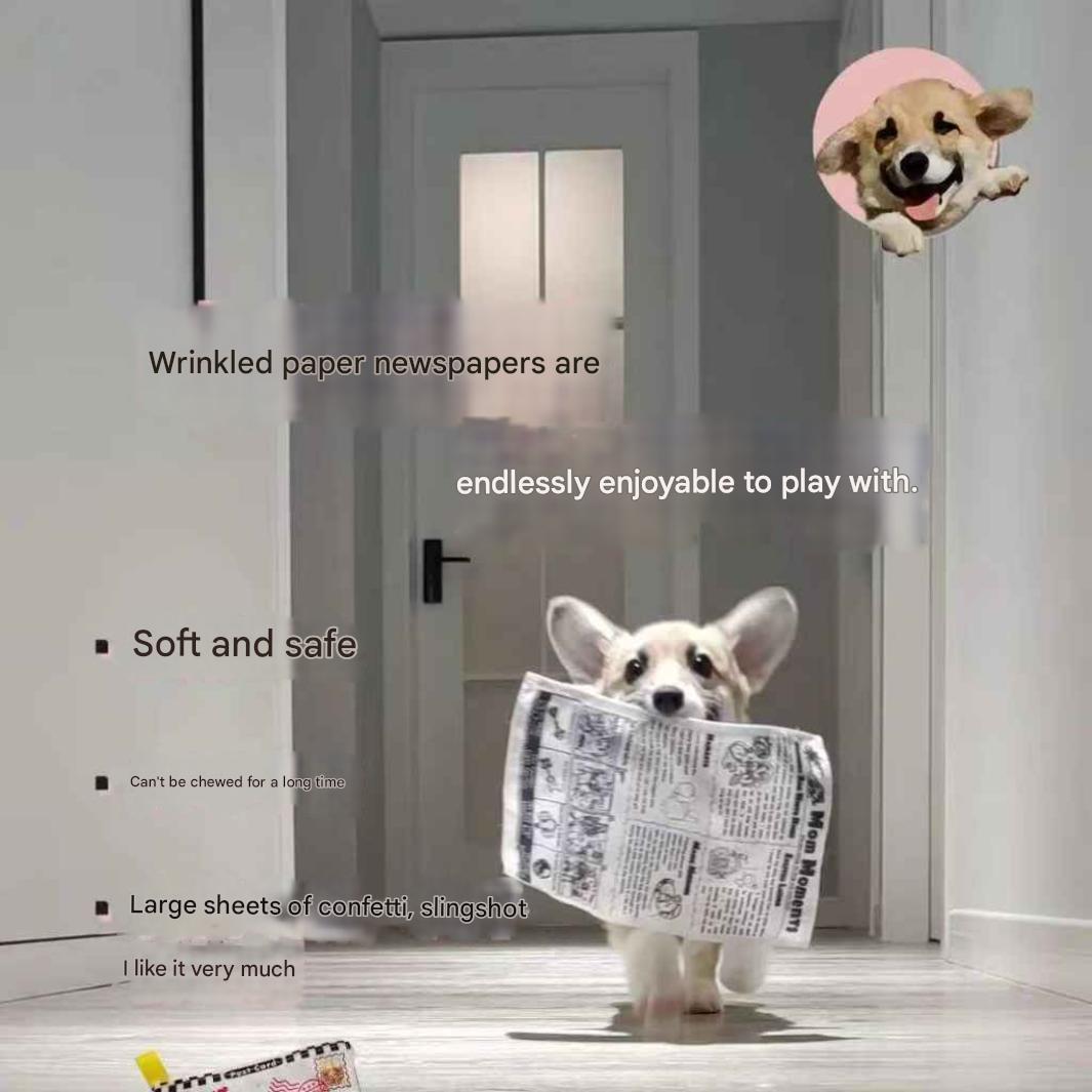 Sounding Newspaper  for small and medium-sized Teddy Corgis