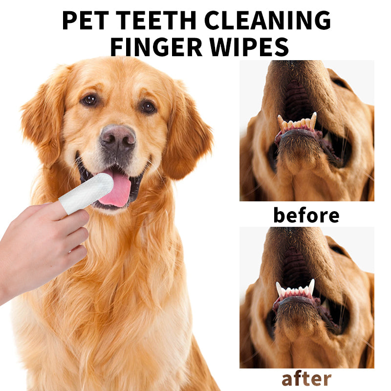 Pet Cleaning Family Set