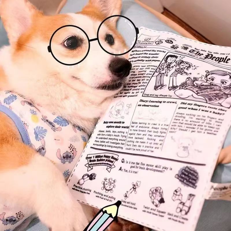 Sounding Newspaper  for small and medium-sized Teddy Corgis